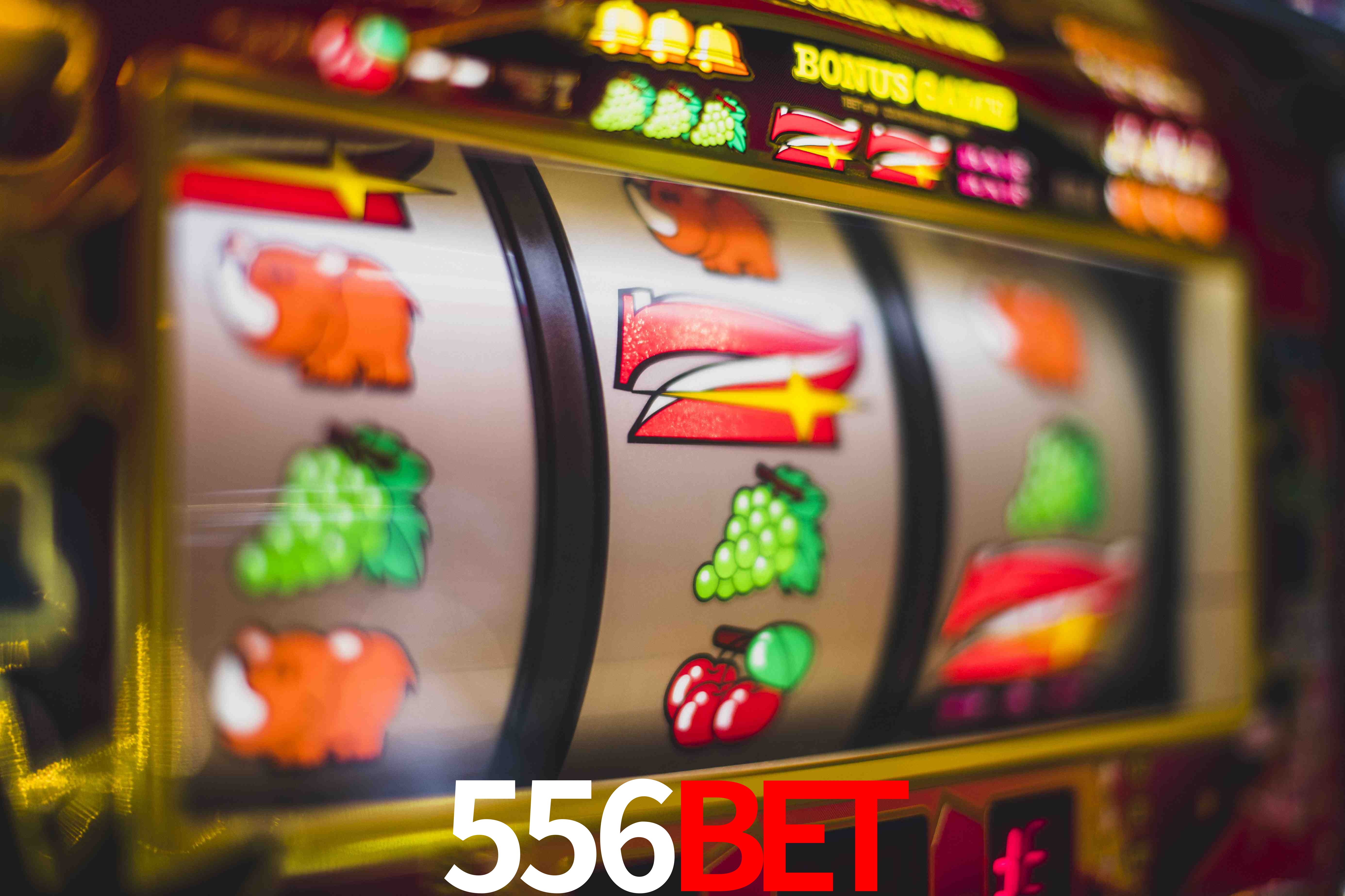 Tournaments 556bet