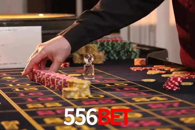 Interface Premium 556bet